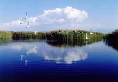 廣州到巴彥淖爾物流專(zhuān)線(xiàn)，廣州到巴彥淖爾運(yùn)輸公司