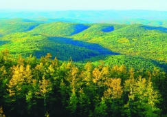 廣州到大興安嶺物流專(zhuān)線(xiàn)，廣州至大興安嶺貨運(yùn)公司