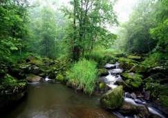 廣州到伊春物流專(zhuān)線(xiàn)，廣州至伊春貨運(yùn)公司