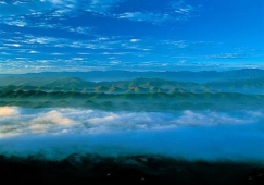 廣州到宜賓物流專線，專業(yè)運(yùn)輸公司廣州至宜賓貨運(yùn)