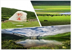 廣州到阿壩物流專線，專業(yè)運(yùn)輸廣州至阿壩貨運(yùn)公司