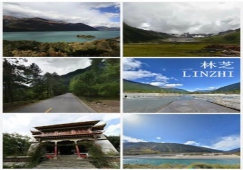 廣州到林芝物流專線，整車零擔(dān)配貨的廣州到林芝貨運