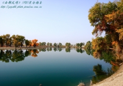 廣州到阿克蘇物流專線，廣州到新疆阿克蘇貨運(yùn)公司