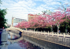 廣州到遂溪物流專線，廣州到遂溪貨運公司