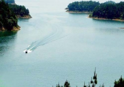 廣州到孝感物流專線，廣州到孝感貨運公司