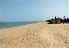 廣州到東方物流專線，廣州到東方貨運公司