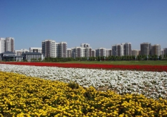 河源到鐵嶺物流專(zhuān)線(xiàn)|河源到鐵嶺物流公司|河源到鐵嶺貨運專(zhuān)線(xiàn)