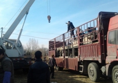 廣州白云到岳陽(yáng)物流專(zhuān)線(xiàn)-白云區到岳陽(yáng)貨運公司