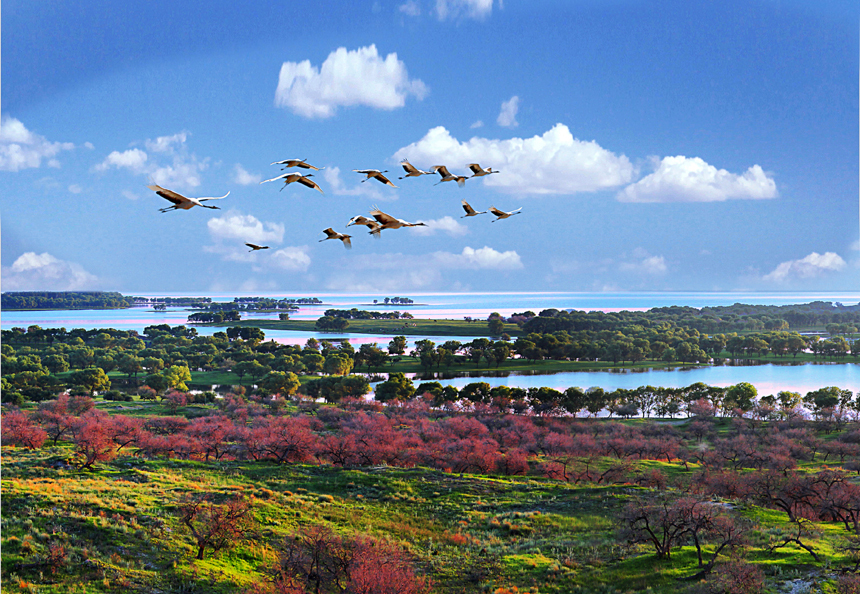 佛山到白城物流專(zhuān)線(xiàn)/佛山到白城貨運公司(圖1) 1-200F5152203346.jpg